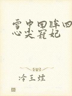 雪中回眸四爷的心尖宠妃