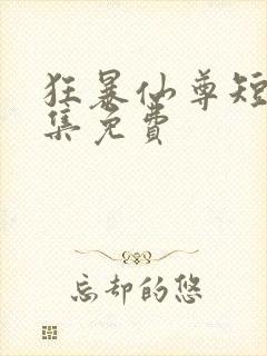 狂暴仙尊短剧全集免费