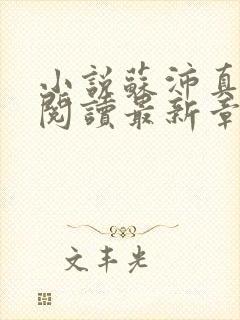 小说苏沛真全文阅读最新章节更新时间