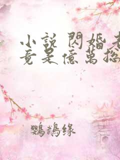 小说 闪婚老公竟是亿万总裁