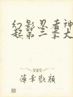 幻影忍者神龙崛起第二季大结局