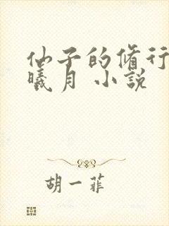 仙子的修行 萧曦月 小说