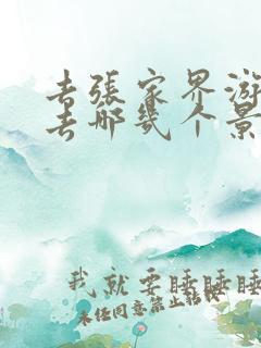去张家界游玩必去哪几个景点好玩