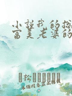 小说我的总裁白富美老婆的免费阅读