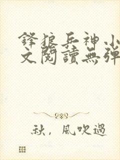 锋狼兵神小说全文阅读无弹窗免费