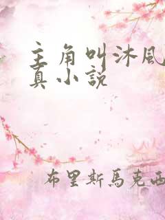 主角叫沐风的修真小说