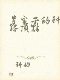 农家子的科举之路顶点