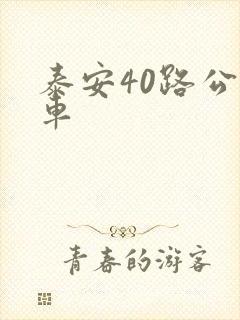泰安40路公交车