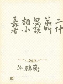 长相思第二季原著小说叫什么