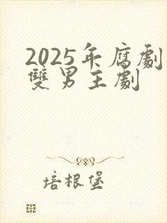 2025年腐剧双男主剧