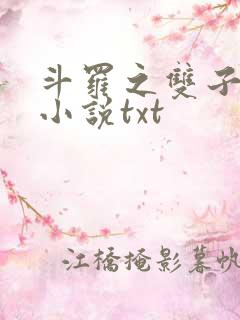 斗罗之双子斗罗小说txt