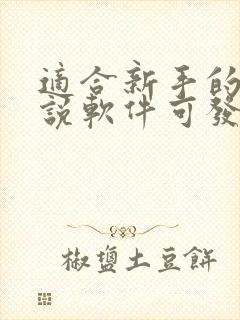 适合新手的写小说软件可发布