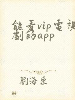 能看vip电视剧的app