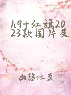 h9+红旗2023款图片及报价