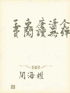 王东唐潇全文免费阅读无弹窗小说