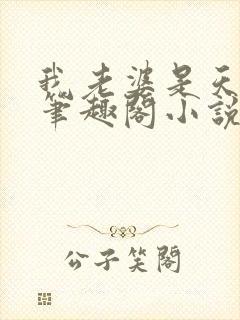 我老婆是天后 笔趣阁小说