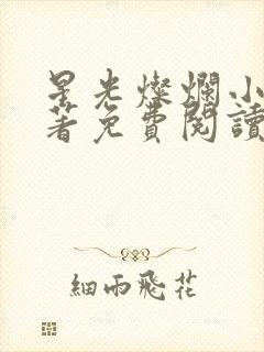 星光灿烂小说原著免费阅读全文