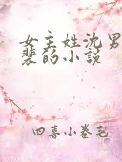 女主姓沈男主姓裴的小说