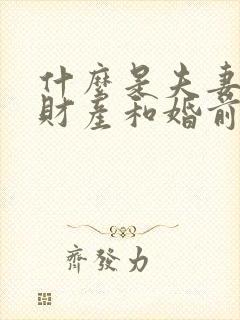 什么是夫妻共同财产和婚前财产