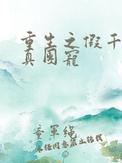 重生之假千金是真团宠