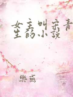 女主叫宋青瓷重生的小说