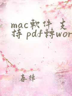mac软件 支持 pdf转word