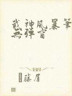 武神风暴笔趣阁无弹窗