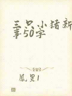 三只小猪新编故事50字