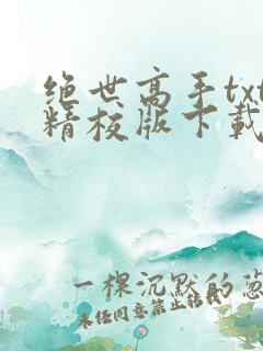 绝世高手txt精校版下载