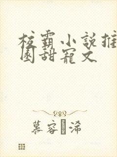 校霸小说推荐校园甜宠文