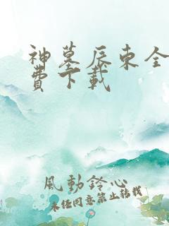 神墓辰东全本免费下载