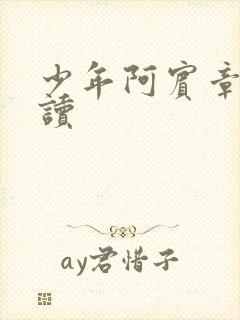 少年阿宾章节阅读