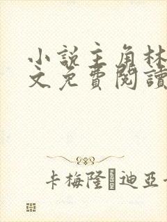 小说主角林枫全文免费阅读