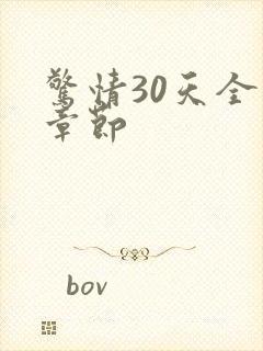 惊情30天全部章节