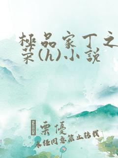 极品家丁之林晚荣(h)小说