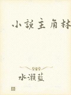 小说主角林渊
