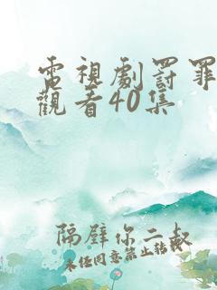 电视剧罚罪免费观看40集