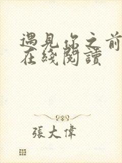 遇见你之前原著在线阅读