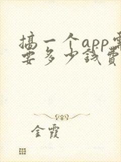 搞一个app需要多少钱费用