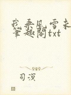 我乘风雪未删减笔趣阁txt
