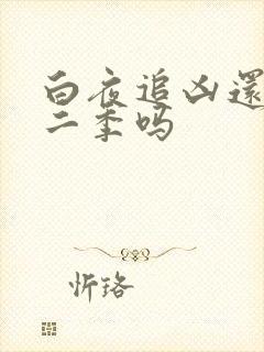 白夜追凶还有第二季吗