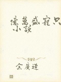 亿万盛宠只为你 小说