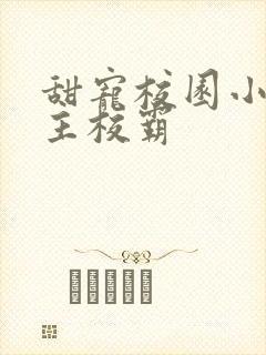 甜宠校园小说男主校霸