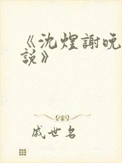 《沈煜谢晚烟小说》