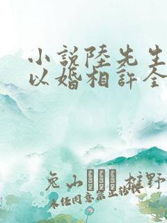 小说陆先生偏要以婚相许全文阅读