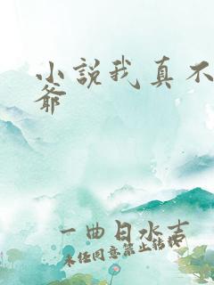 小说我真不是法爷