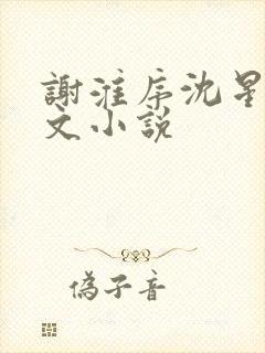 谢淮序沈星窈全文小说