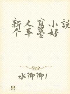 新人写小说去哪个平台好