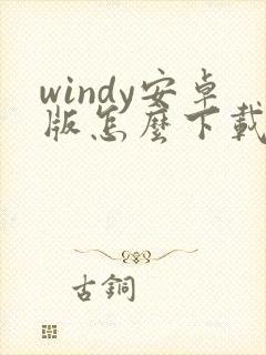 windy安卓版怎么下载