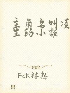 主角名叫凌天重生的小说